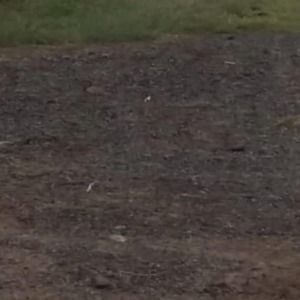 Meet your Posher, Karla